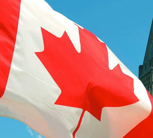 what-are-your-options-after-transferring-a-qrops-to-canada